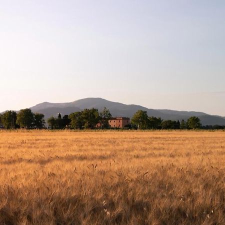 Agriturismo Il Pescinone Venturina Terme Eksteriør billede