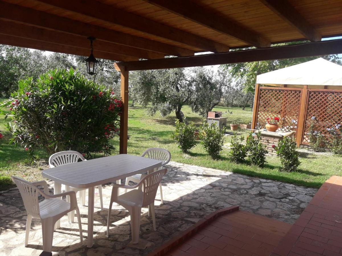 Agriturismo Il Pescinone Venturina Terme Eksteriør billede
