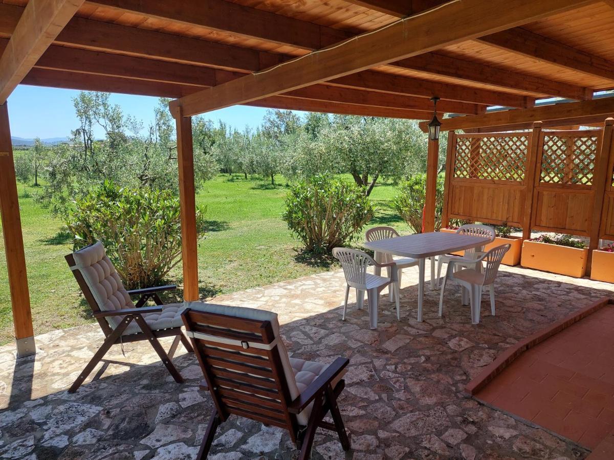 Agriturismo Il Pescinone Venturina Terme Eksteriør billede