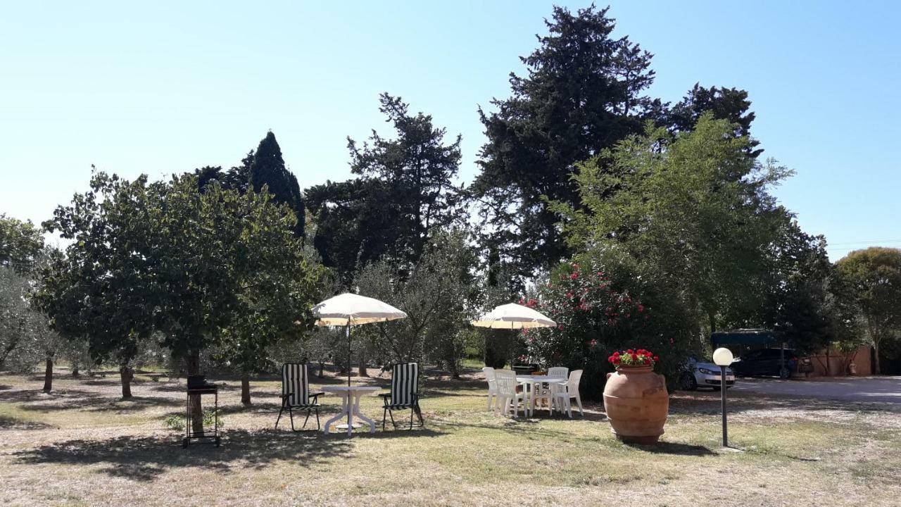 Agriturismo Il Pescinone Venturina Terme Eksteriør billede