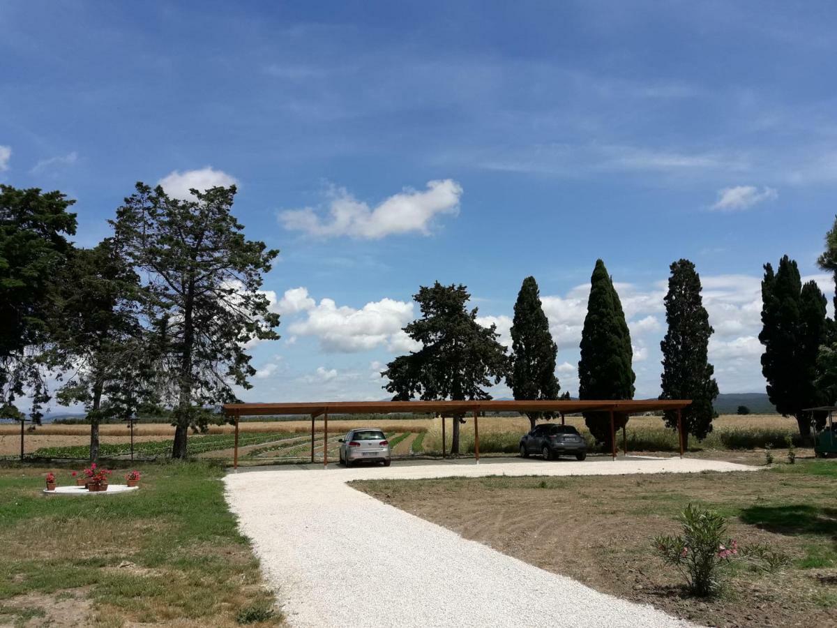 Agriturismo Il Pescinone Venturina Terme Eksteriør billede