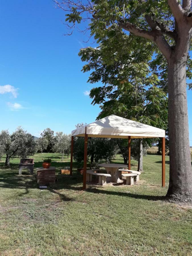 Agriturismo Il Pescinone Venturina Terme Eksteriør billede