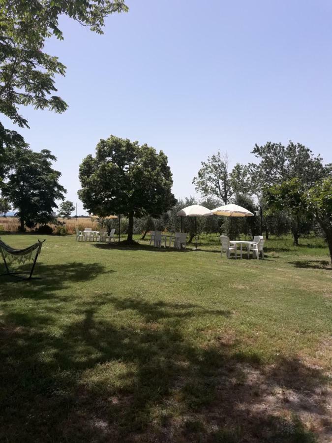 Agriturismo Il Pescinone Venturina Terme Eksteriør billede
