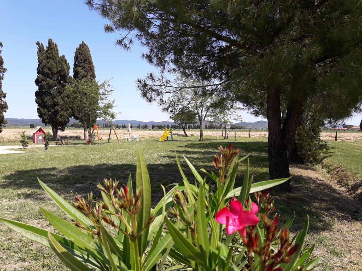 Agriturismo Il Pescinone Venturina Terme Eksteriør billede
