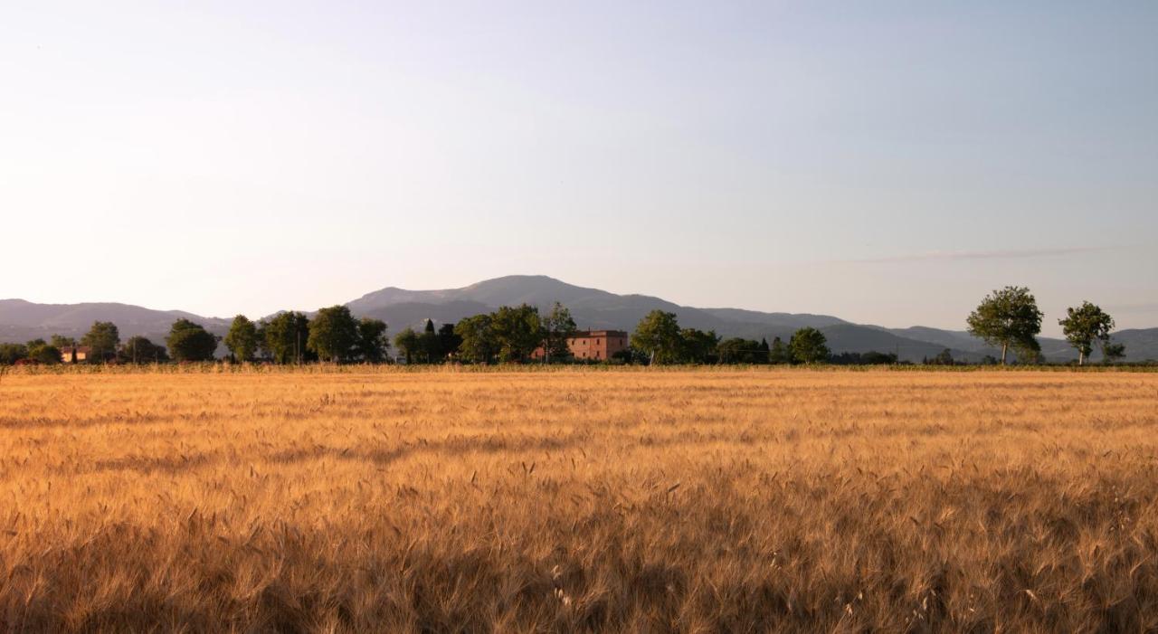 Agriturismo Il Pescinone Venturina Terme Eksteriør billede